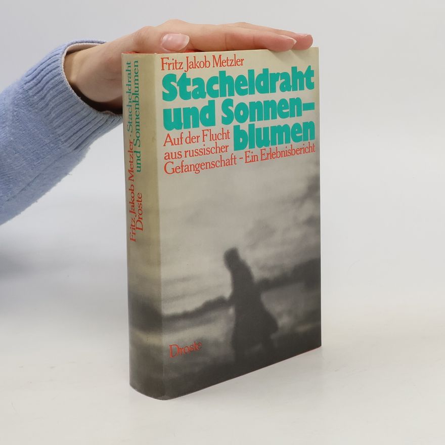 Fritz Jakob Metzler Stacheldraht und Sonnenblumen
