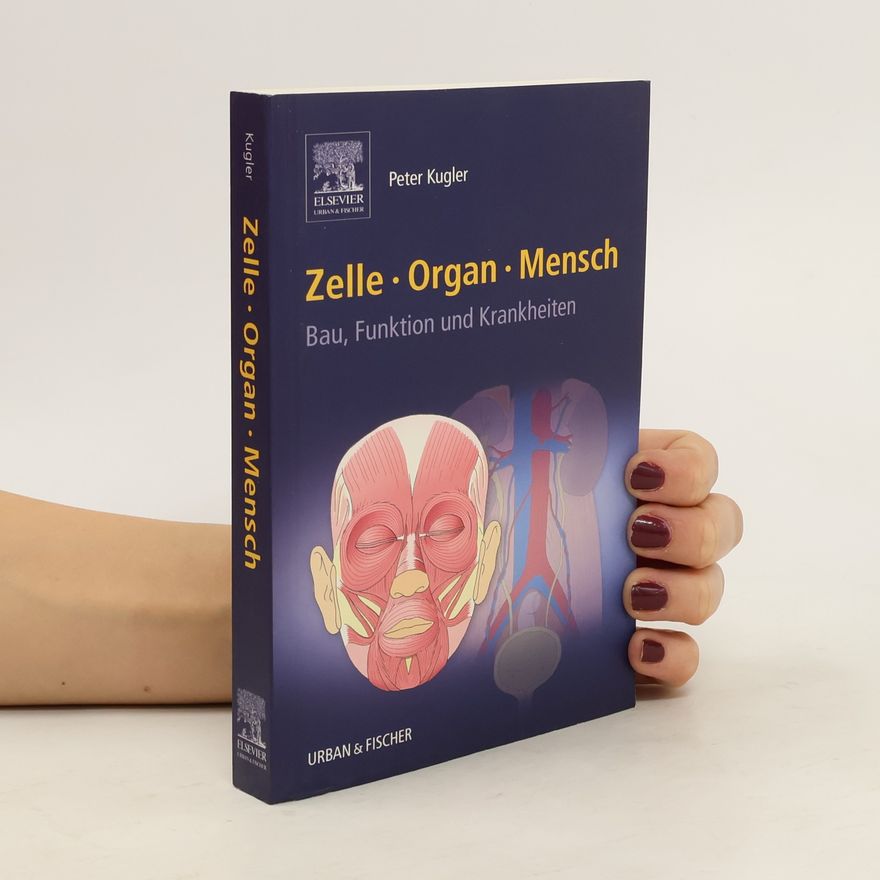 Peter Kugler Zelle, Organ, Mensch