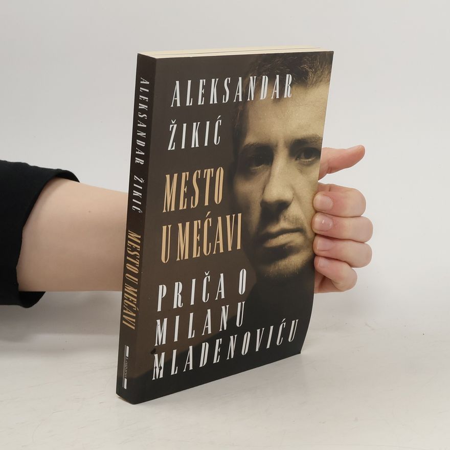 Aleksandar Žikić Mesto u mećavi: priča o Milanu Mladenoviću