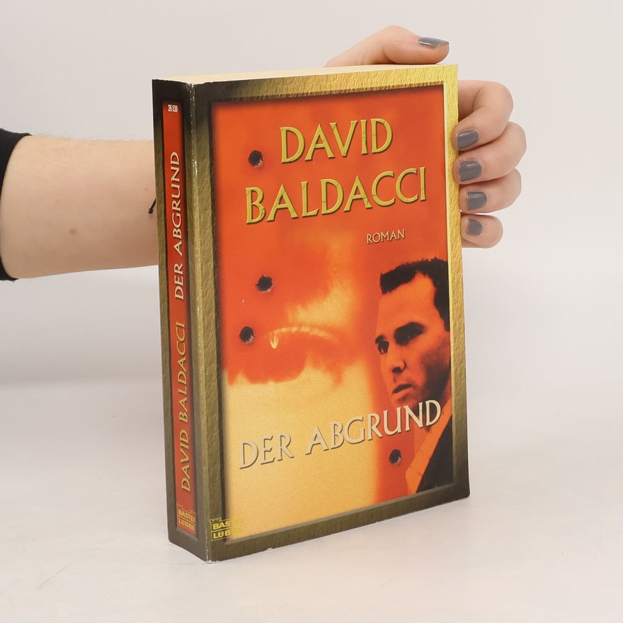 David Baldacci Der Abgrund