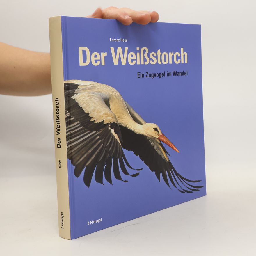 Lorenz Heer Der Weißstorch