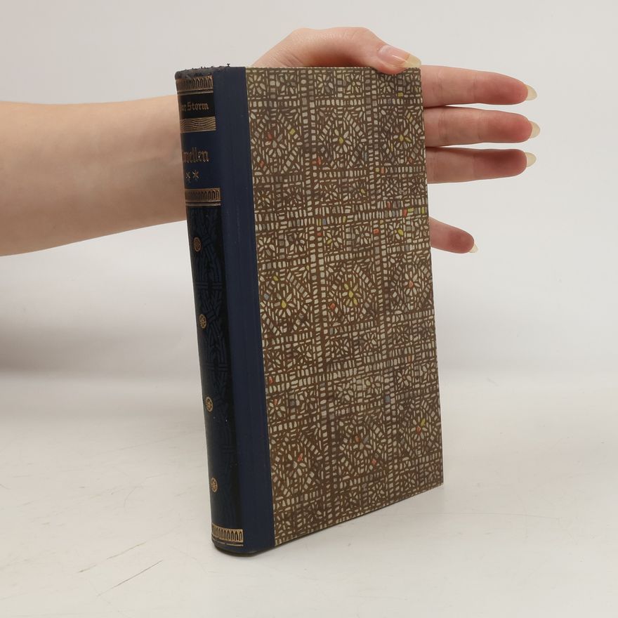 Theodor Storm Die schönsten Novellen. Zweiter Band
