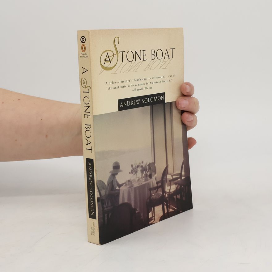 Andrew Solomon A Stone Boat
