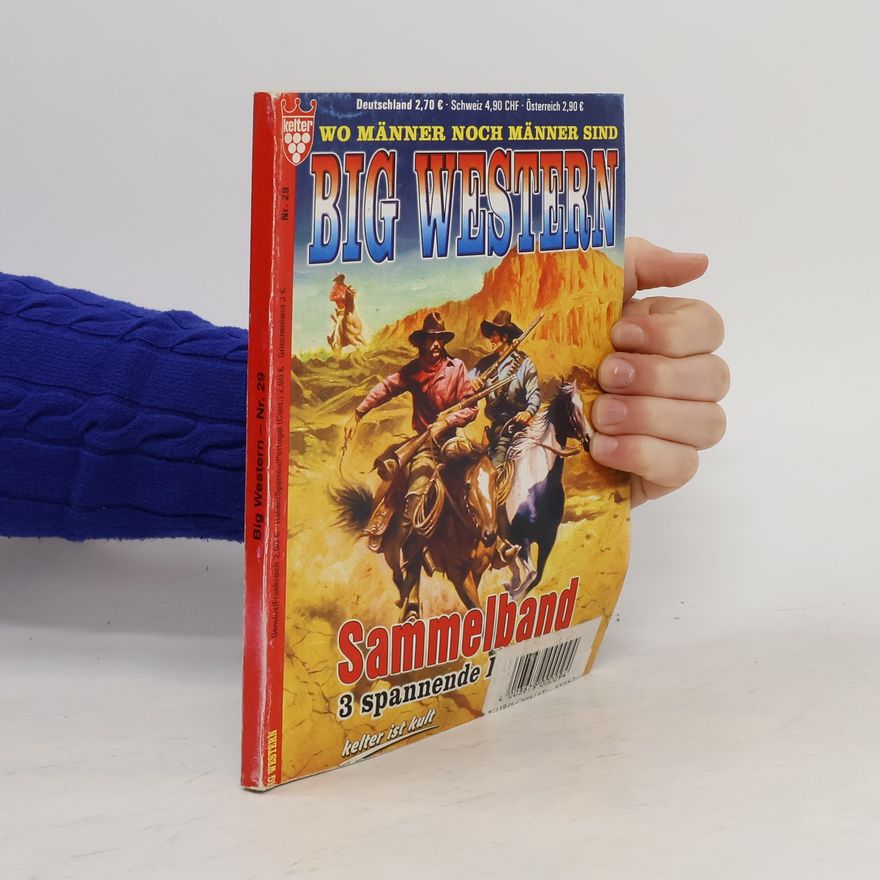 Kolektiv autorů Big Western 29