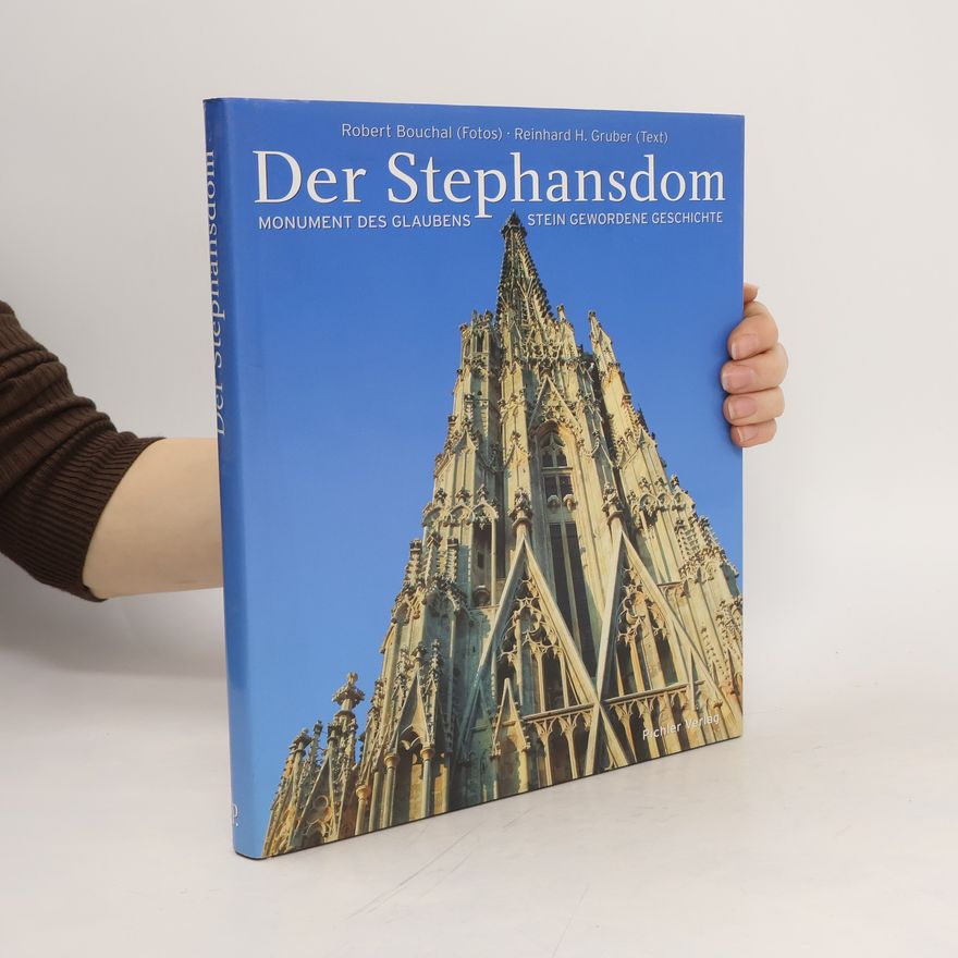 Robert Bouchal Der Stephansdom