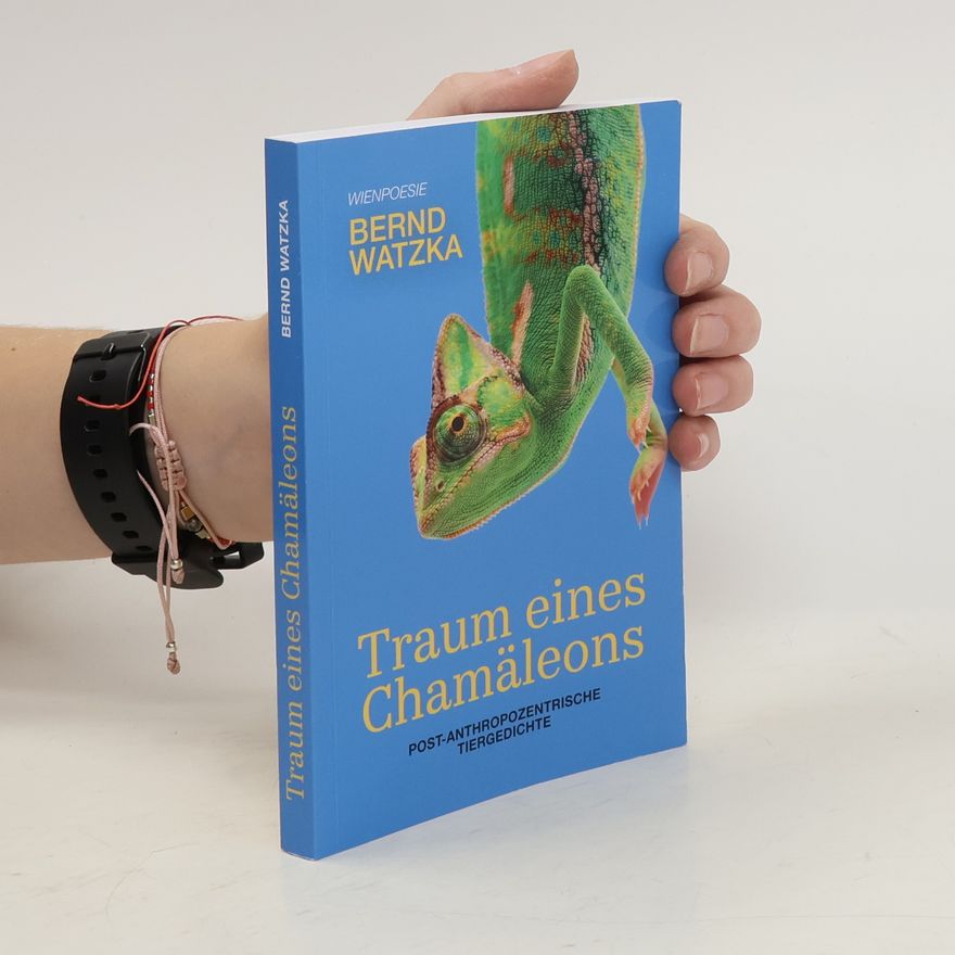Bernd Watzka Traum eines Chamäleons
