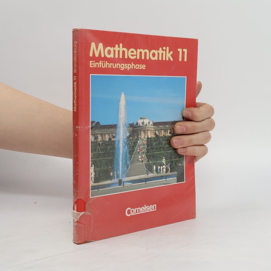 Kolektiv autorů Mathematik 11. Einführungshase