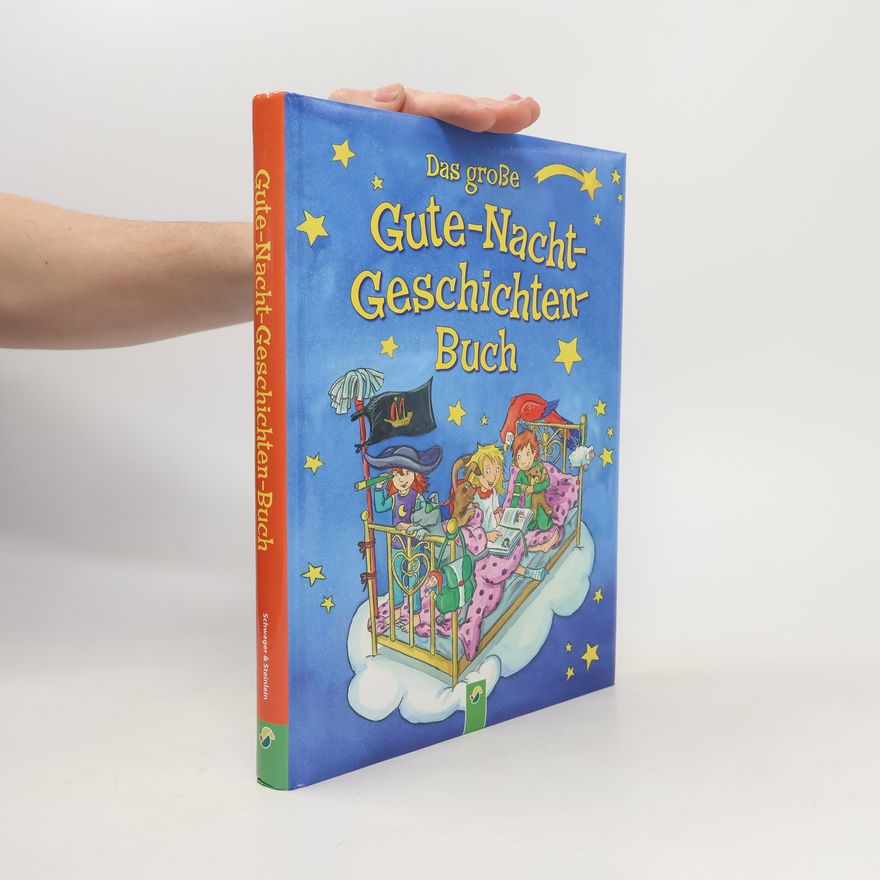 Autorenkollektiv Das große Gute-Nacht-Geschichten-Buch