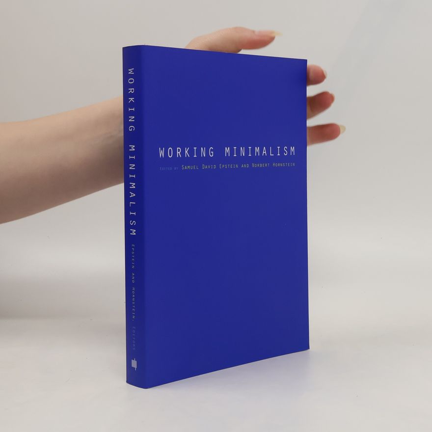 Samuel David Epstein Working Minimalism