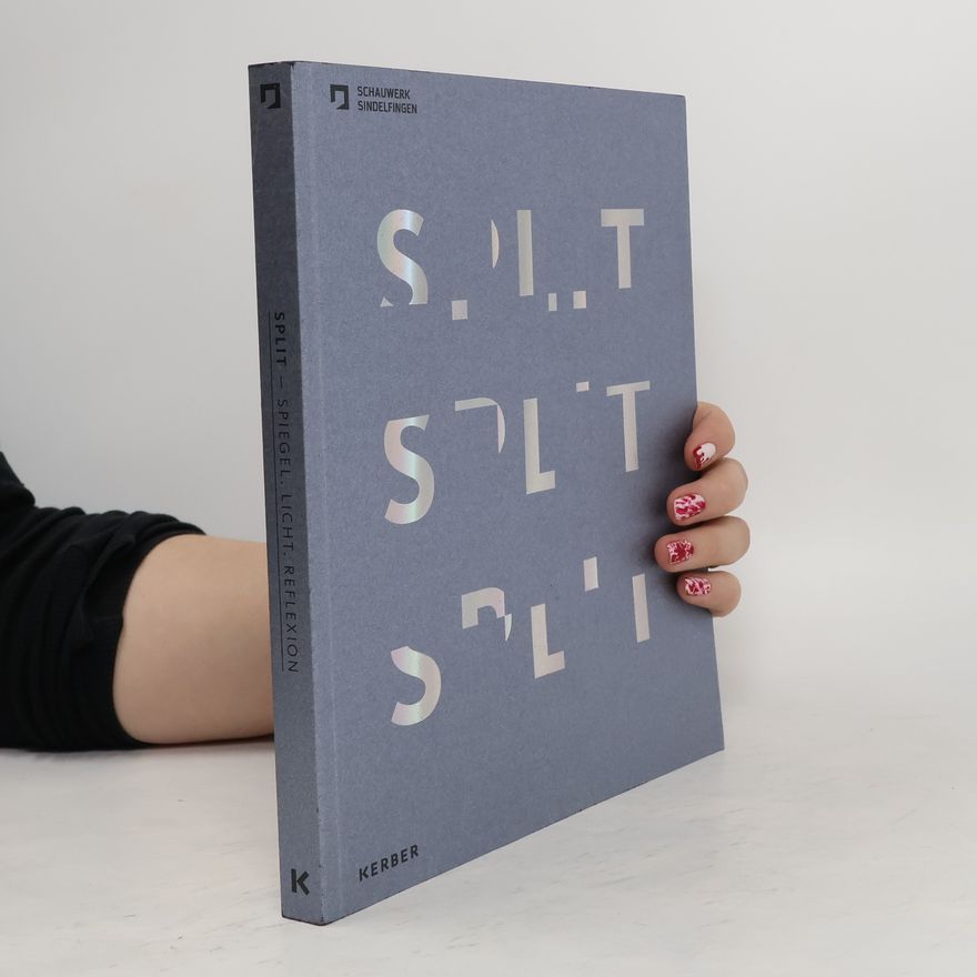 Christiane Schaufler-Münch SPLIT - Spiegel, Licht, Reflexion