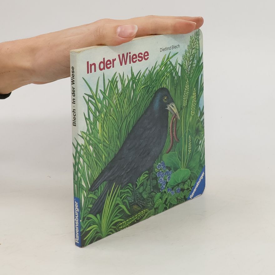 Dietlind Blech In der Wiese