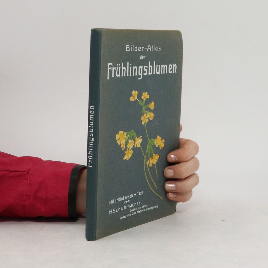H. Schuhmacher Frühlingsblumen