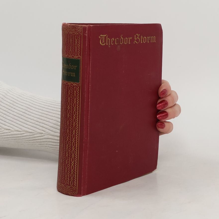 Theodor Storm Meisterwerke
