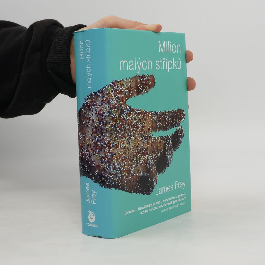 James Frey Milion malých střípků