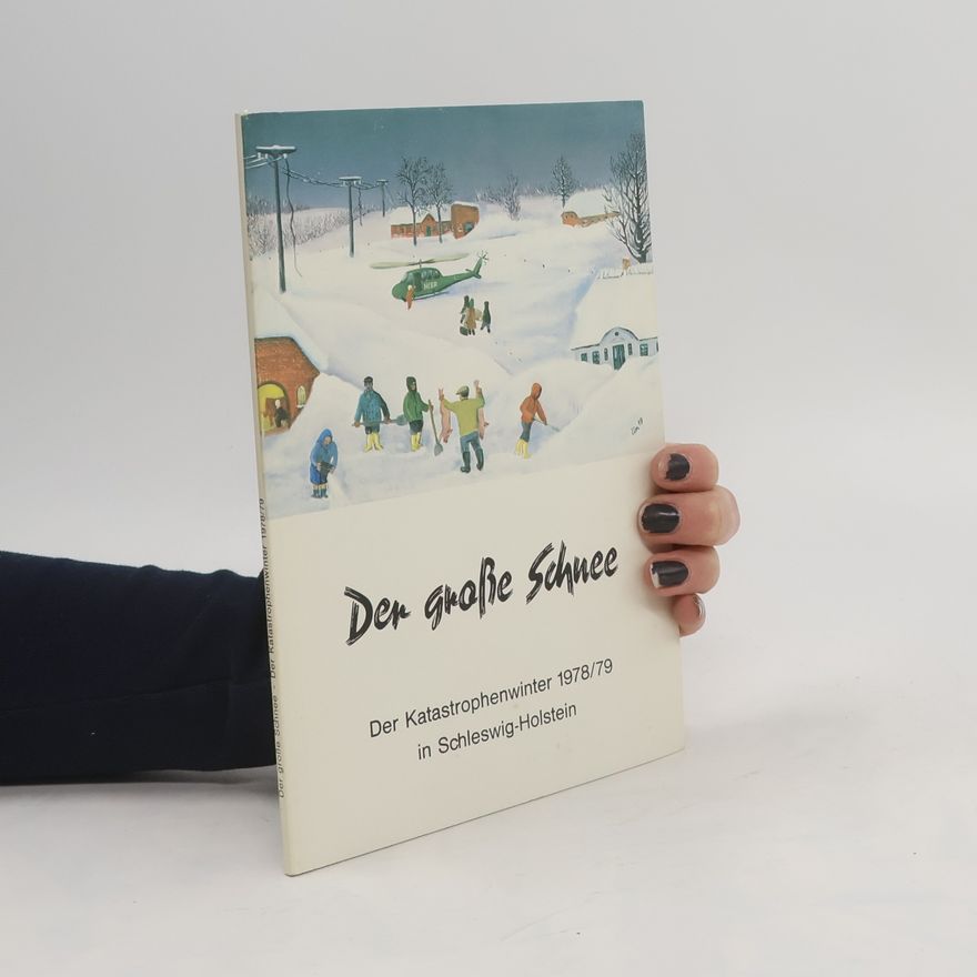 Helmut Sethe Der grosse Schnee