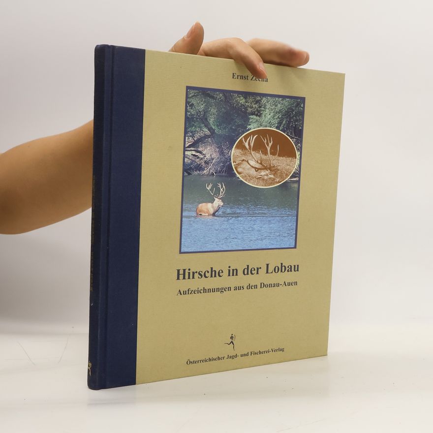 Ernst Zecha Hirsche in der Lobau