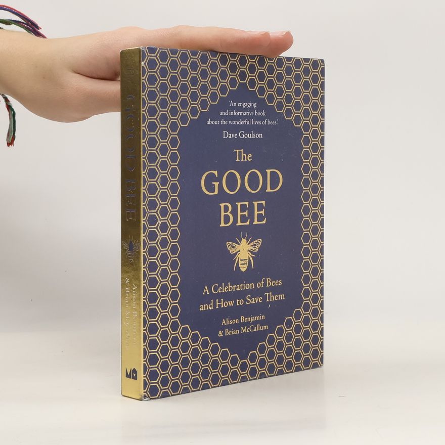 Alison Benjamin The Good Bee