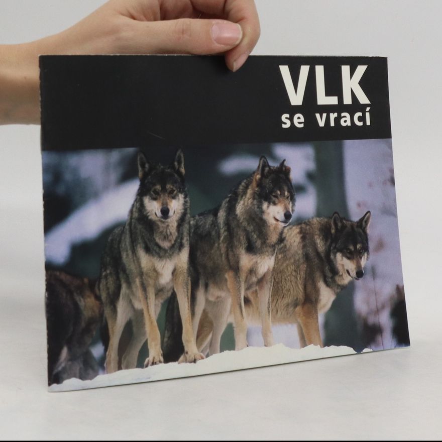 Petr Stýblo Vlk se vrací