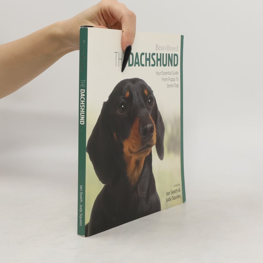 Judy Squires Dachshund Best of Breed