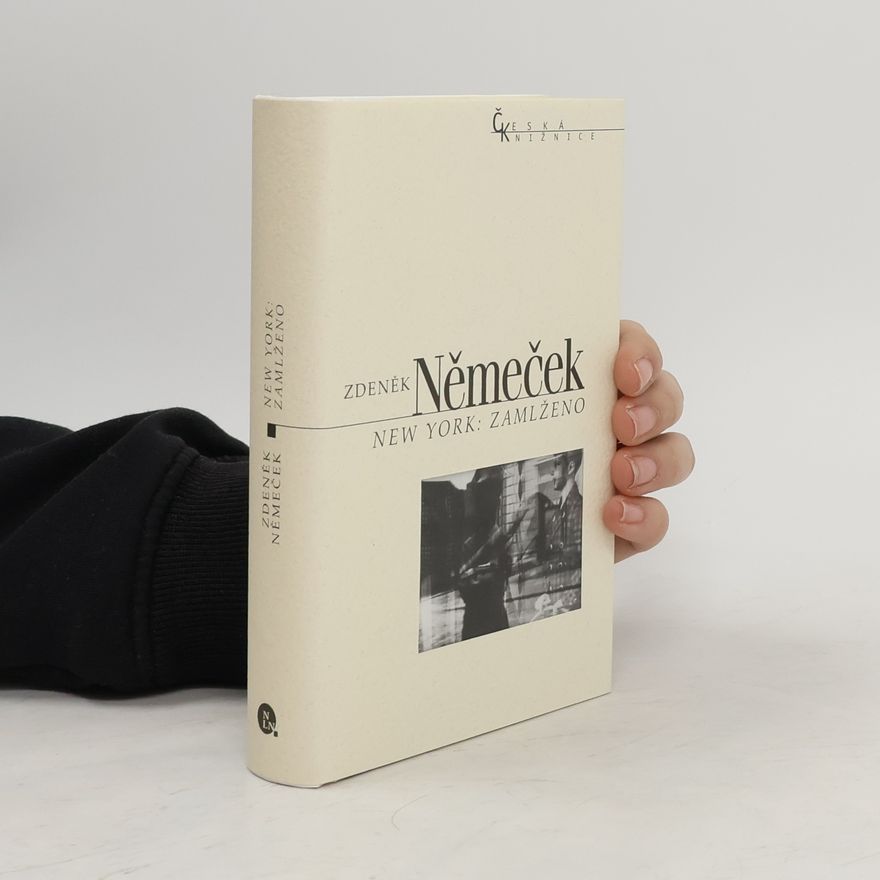 Zdeněk Němeček New York: Zamlženo