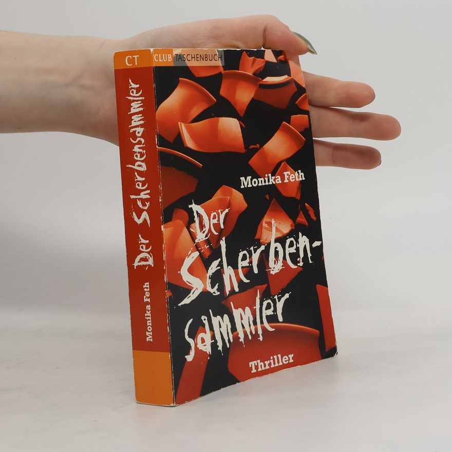 Monika Feth Der Scherbensammler