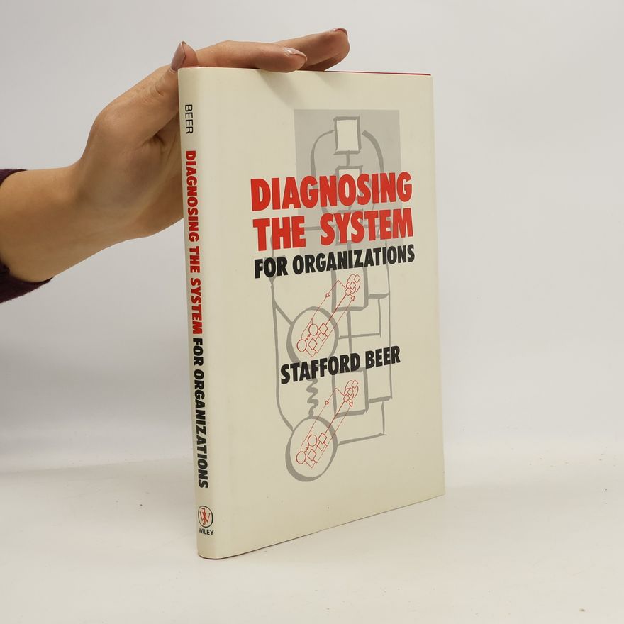 Stafford Beer Diagnosing the system for organizations