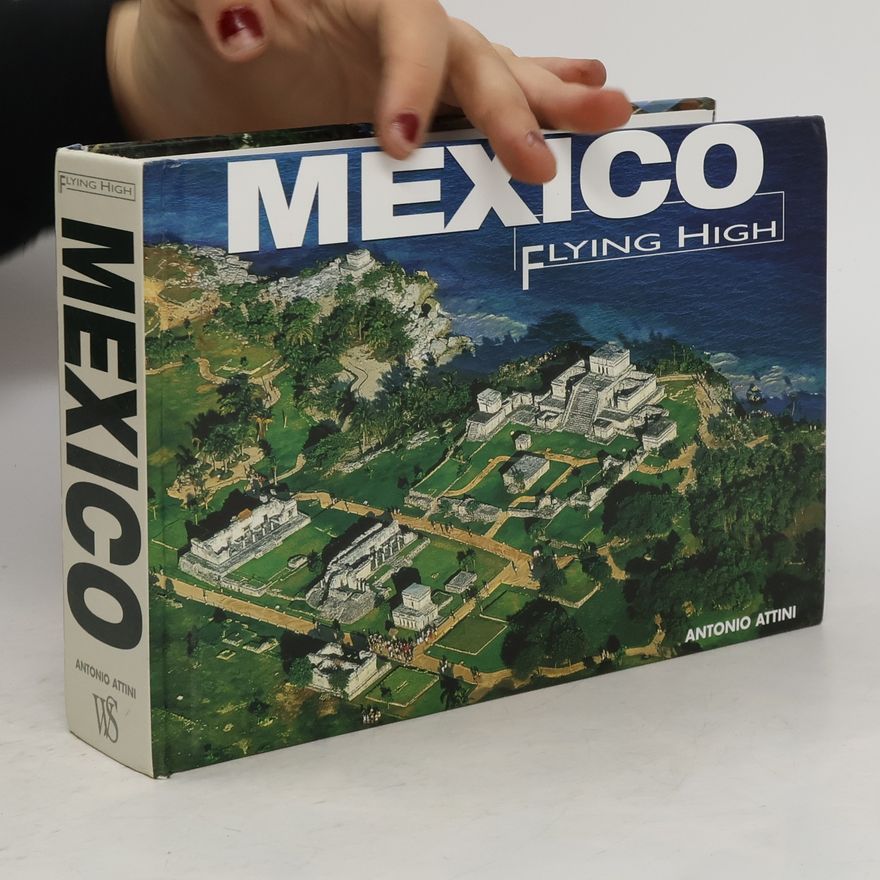 Antonio Attini Mexico. Flying High
