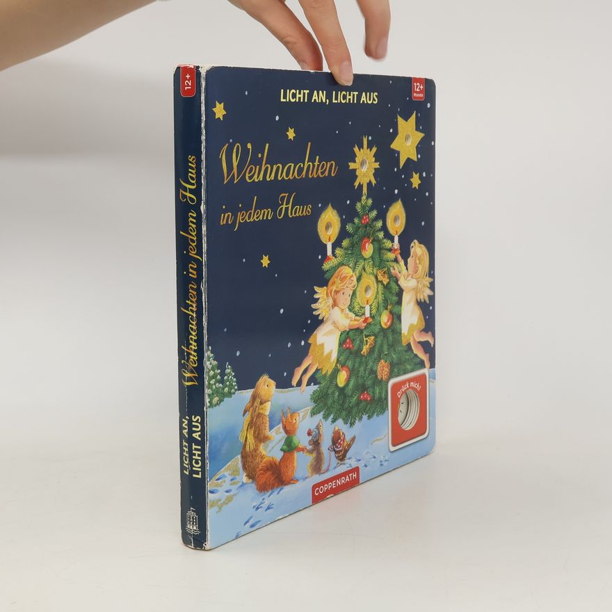 Renate Cossmann Licht an, Licht aus - Weihnachten in jedem Haus
