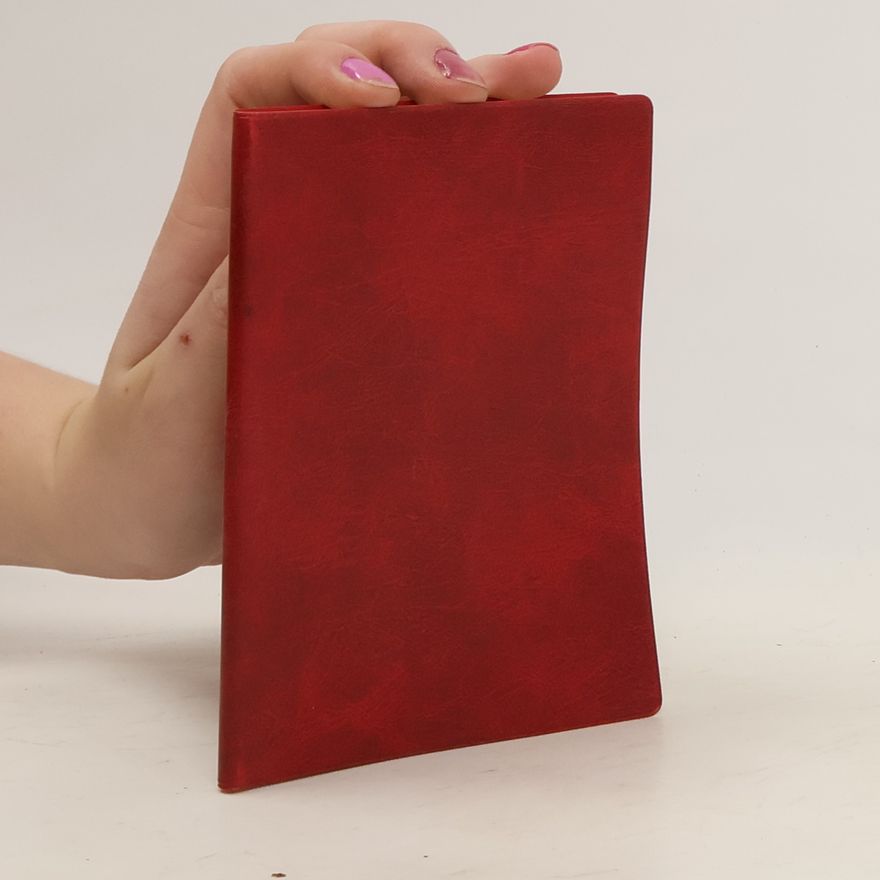 Kolektiv autorů Stahlschlüssel- Taschenbuch
