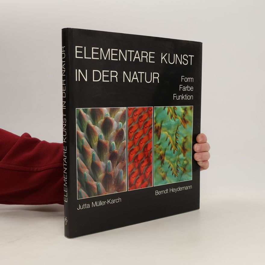 Jutta Müller-Karch Elementare Kunst in der Natur