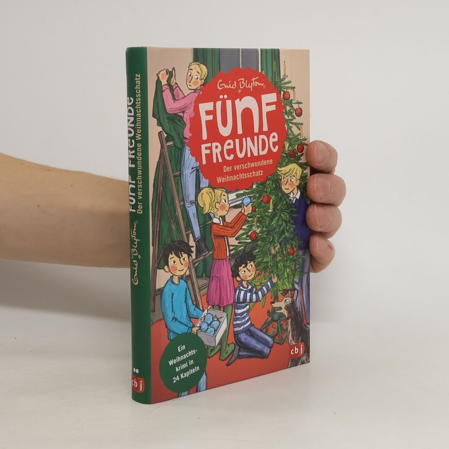 Enid Blyton Fünf Freunde - Der verschwundene Weihnachtsschatz
