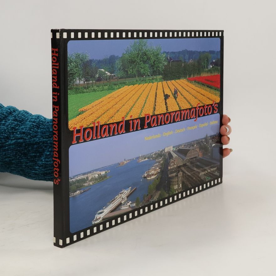 Jan Vermeer Holland in Panoramafoto's