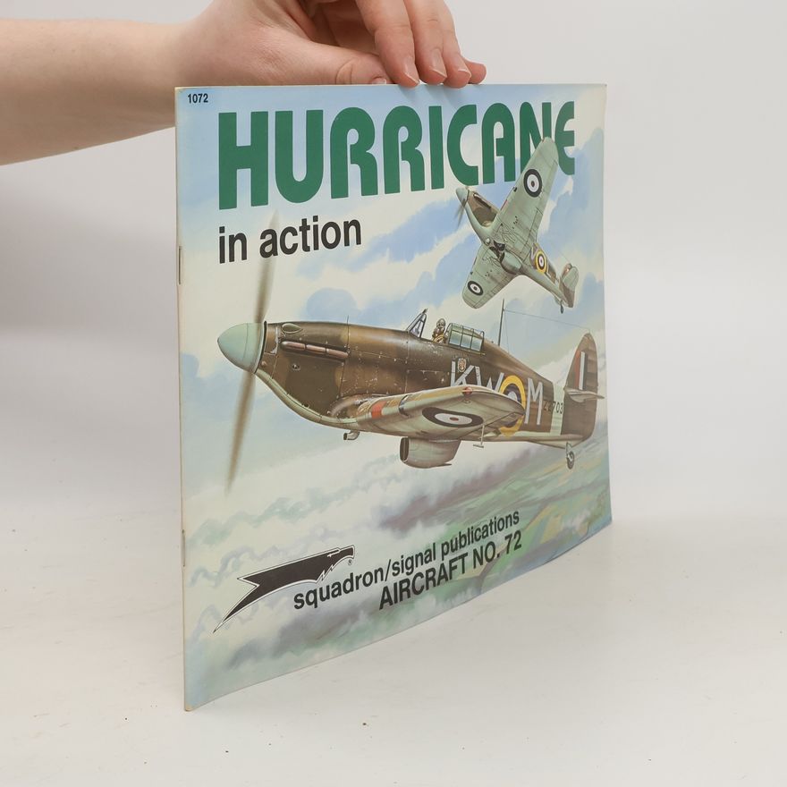 Jerry Scutts Hurricane in Action