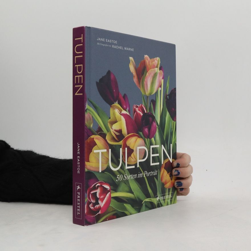 Jane Eastoe Tulpen