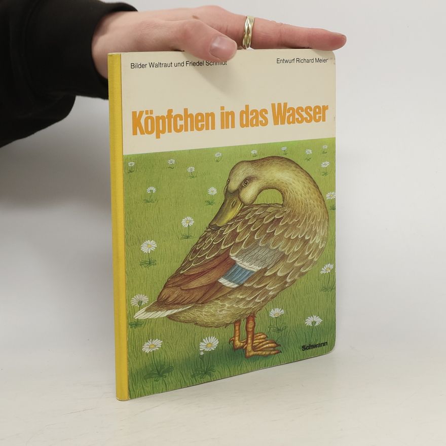 Entwurf Richard Meier Köpfchen in das Wasser