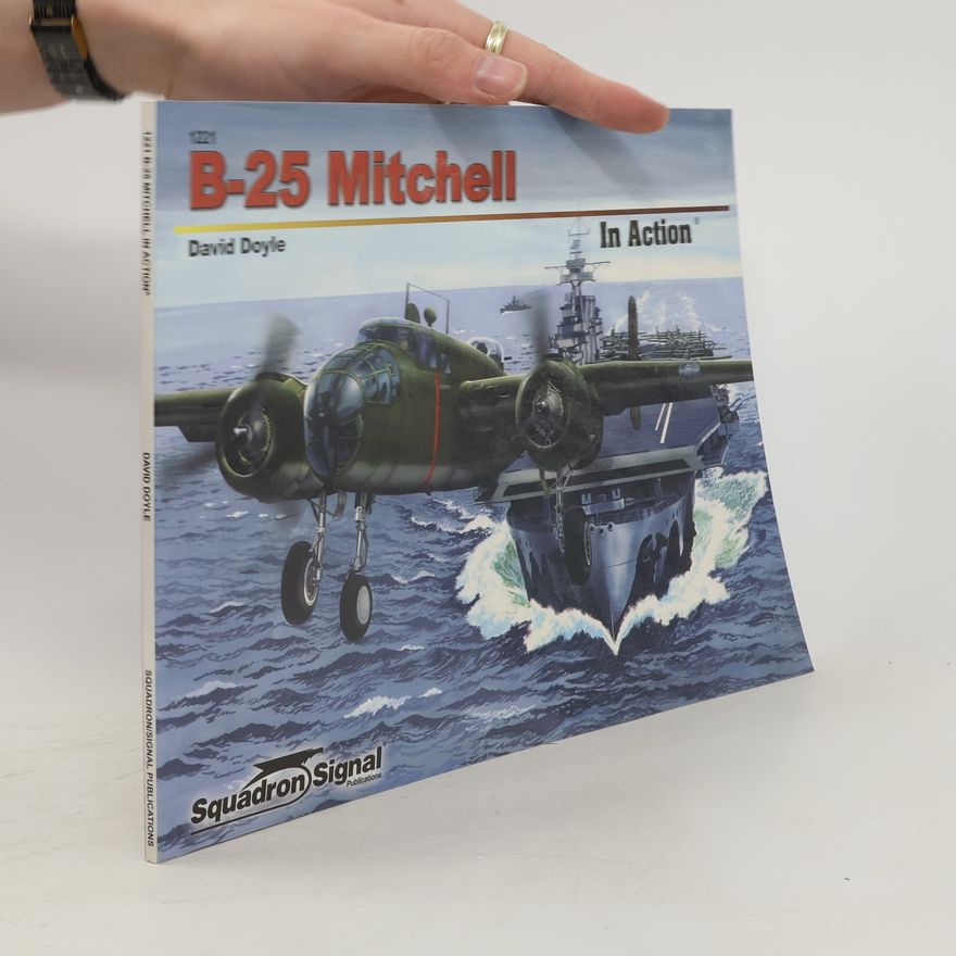 David Doyle B-25 Mitchell in action