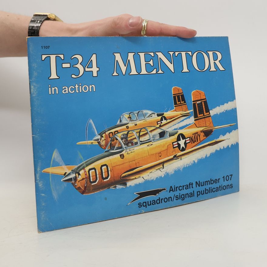 Joe Sewell T-34 Mentor in Action