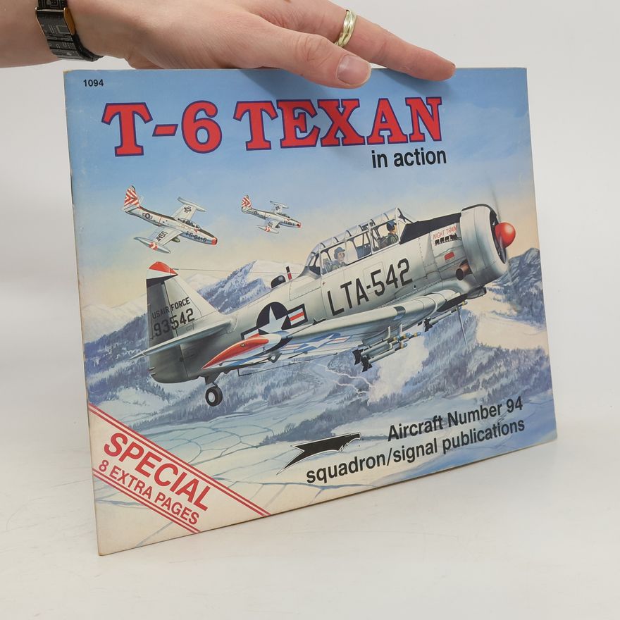 Perry Manley T-6 Texan in Action