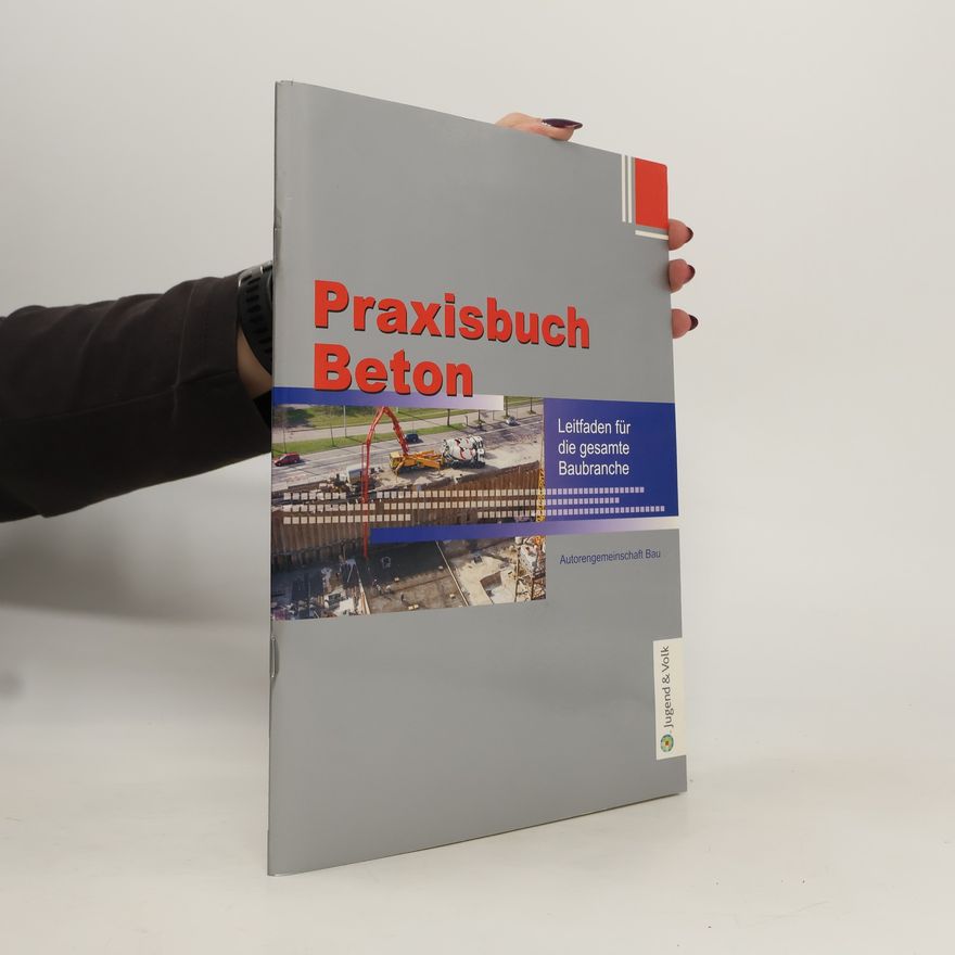 Autorenkollektiv Praxisbuch Beton