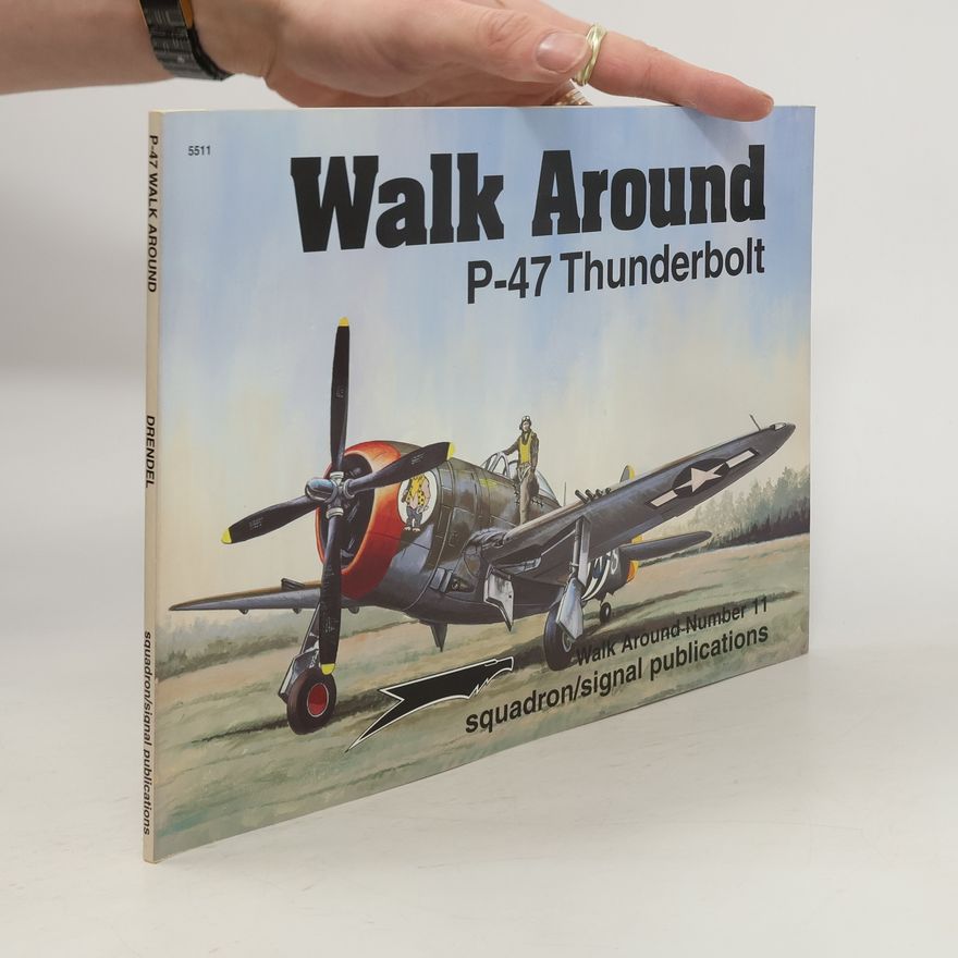Lou Drendel Walk Around P-47 Thunderbolt