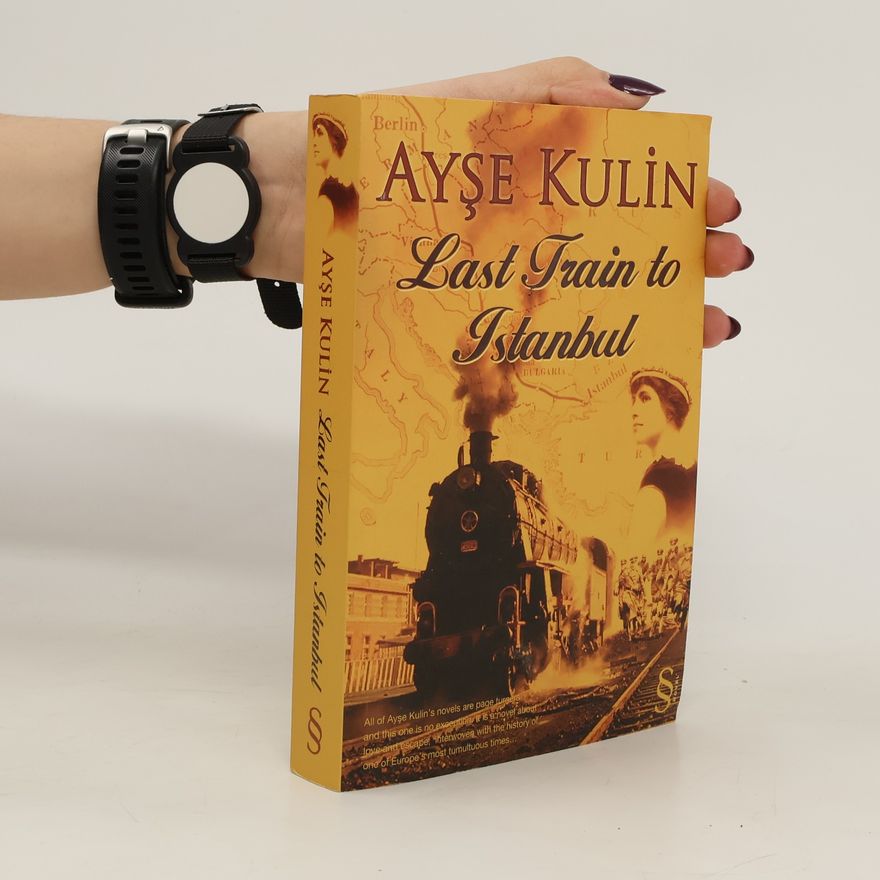 Ayşe Kulin Last Train to Istanbul