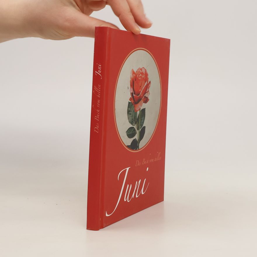 Liane Dirks Das Buch vom hellen Juni