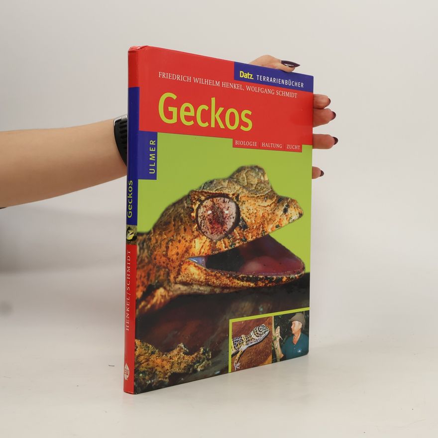 Friedrich Hofmann Geckos