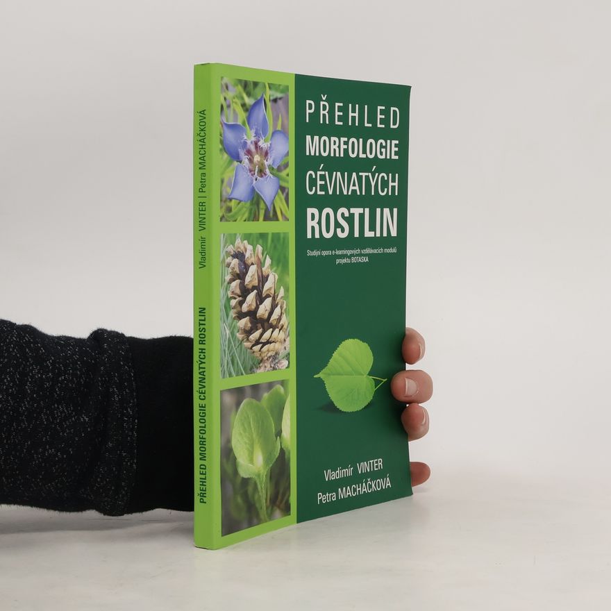 Petra Macháčková Přehled morfologie cévnatých rostlin