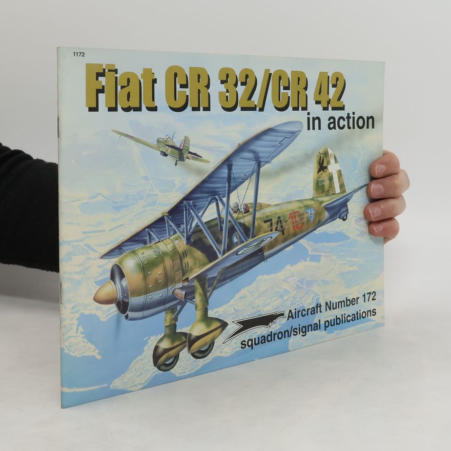 George Punka Fiat CR32/CR42 in Action