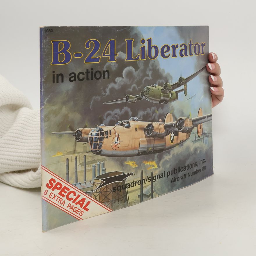 Don Greer B-24 Liberator in Action