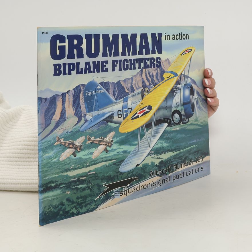 Richard Dann Grumman Biplane Fighters in Action