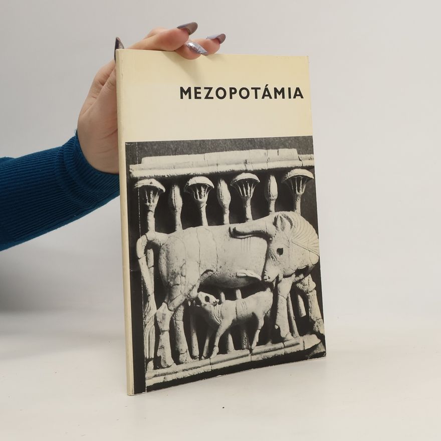 Collectif d'auteurs Mezopotámia