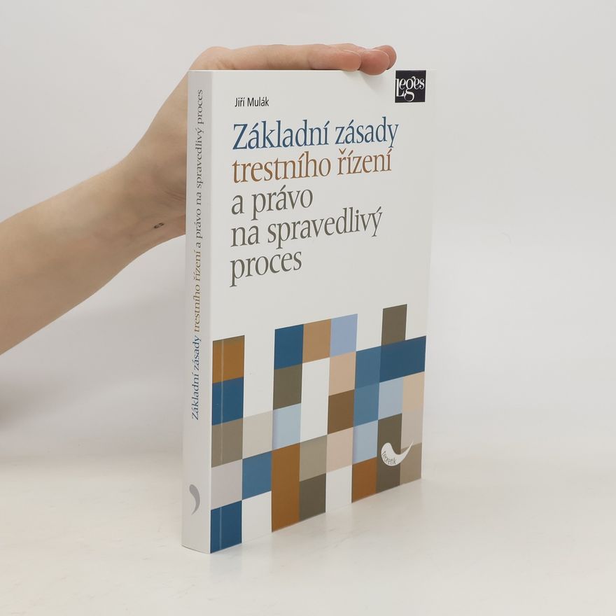 Jiří Mulák Základní zásady trestního řízení a právo na spravedlivý proces
