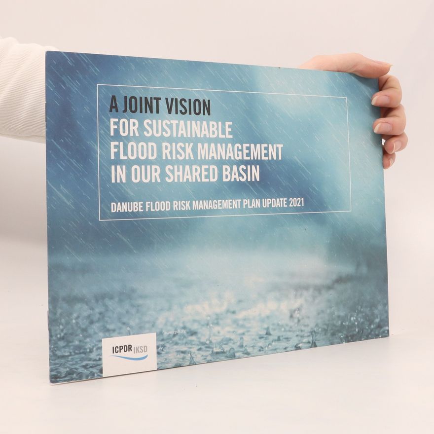 Kolektív autorov A Joint Vision for Sustainable Flood Risk Management in our Shared Basin